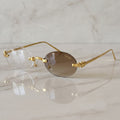 Panther Glasses, transitional lenses, clear to brown, Cartier eyewear